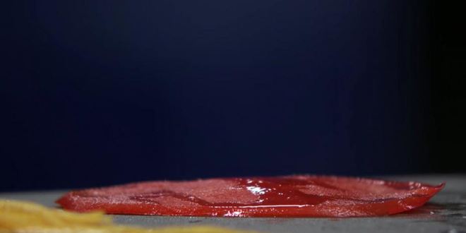 Рецепт карпачча из гребешка с кальмаром