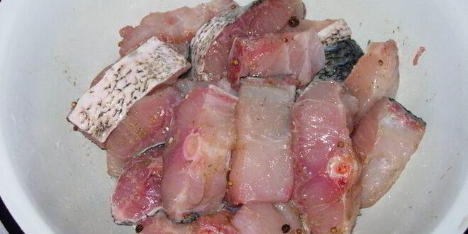 Рецепт маринованного толстолоба