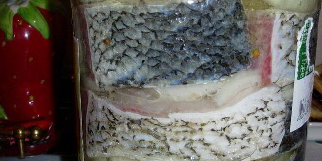 Рецепт маринованного толстолоба