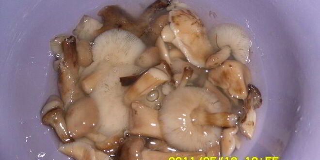 Рецепт мясных паштетик с рисом и зеленым горошком