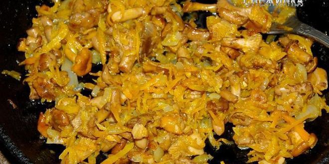 Рецепт паштета из куриной печени с лисичками