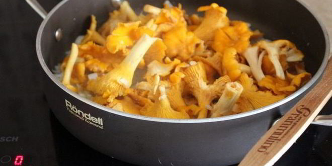 Рецепт паштета из лисичек