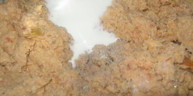 Рецепт паштета из семги