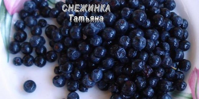 Рецепт паштета куриного с черникой