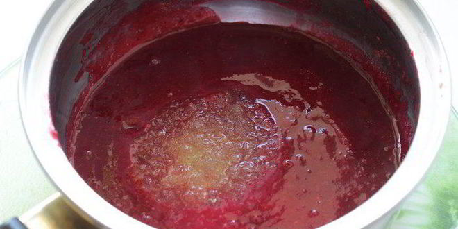 Рецепт паштета куриного со сливово-клюквенным желе