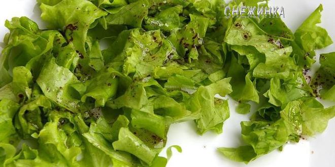 Рецепт сырного паштета из цукини с миндалем