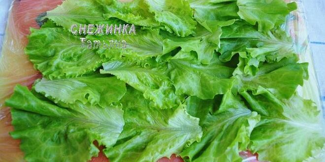 Рецепт легкого закусочного рулета из салатных листьев
