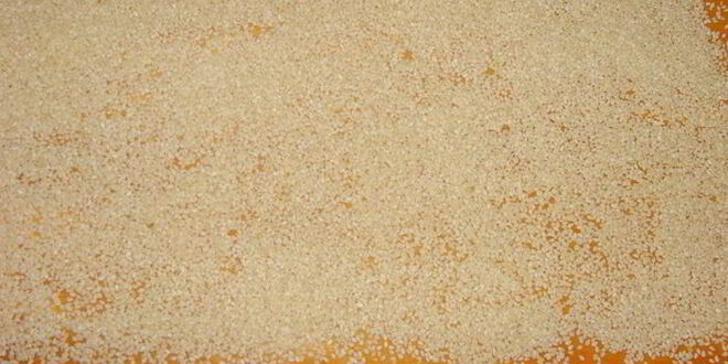 Рецепт рулета из фасоли