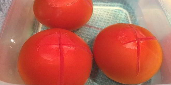 Рецепт рулета из лаваша