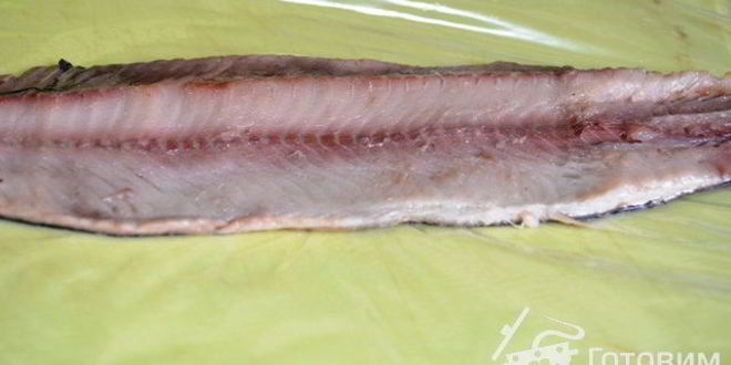Рецепт селедочного рулета с форшмаком