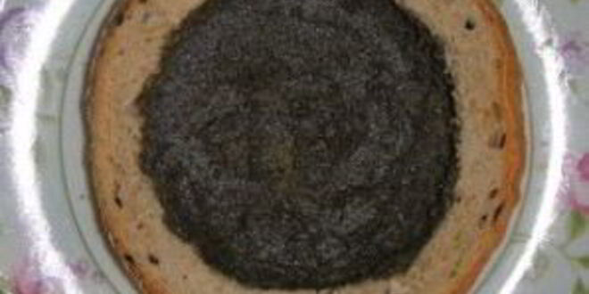 Рецепт сэндвича с салатом ницца