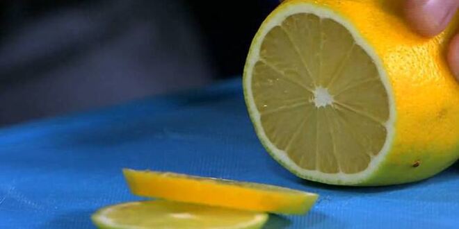 Рецепт сэндвича с цукини, помидорами и авокадо