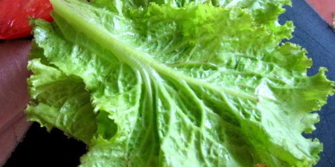 Рецепт сэндвича с ветчиной и салями