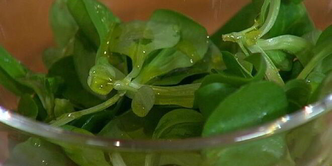 Рецепт сэндвича с яйцом, семгой и авокадо