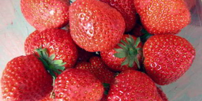 Рецепт тарталеток с клубникой и сливочным желе