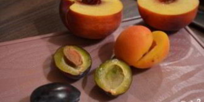 Рецепт тарталеток с кремом