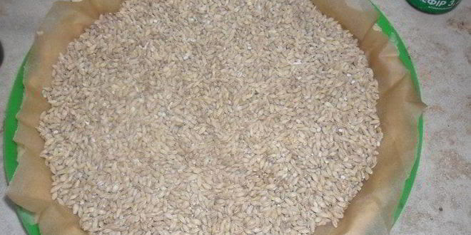 Рецепт мандаринового тарта