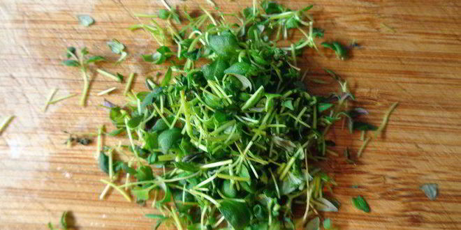 Рецепт мини-тартов со сладким перцем