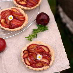 Рецепт Сливового тарта с маковым тестом