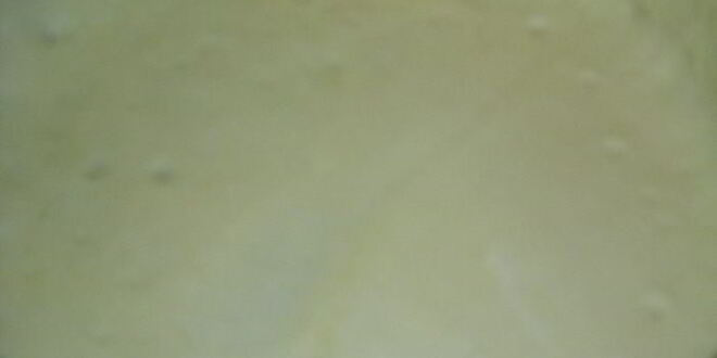 Рецепт сырно-творожного тарт с весенней зеленью