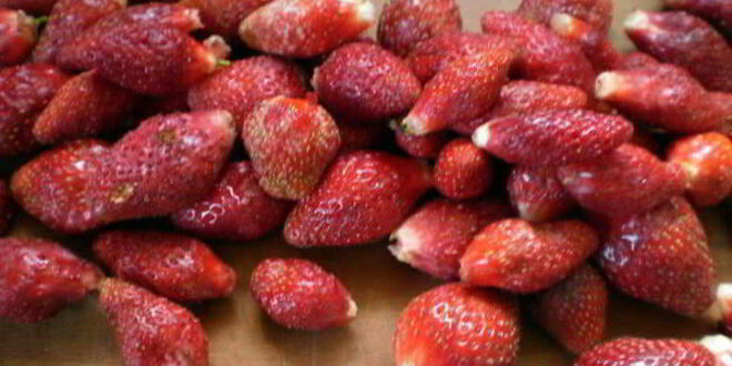 Рецепт тарта с клубникой и белым шоколадом