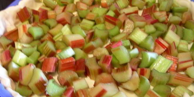 Рецепт тарта с ревенем