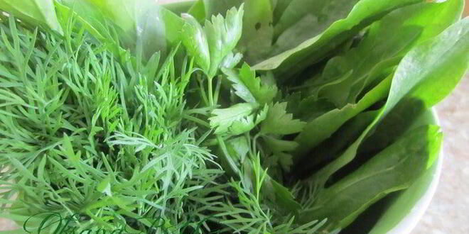 Рецепт тарта творожного с зеленью