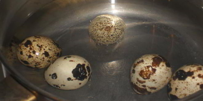 Рецепт ржаных тостов с авокадо