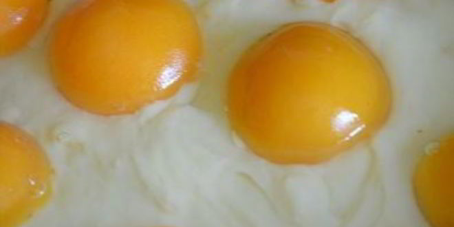 Рецепт торта яичница