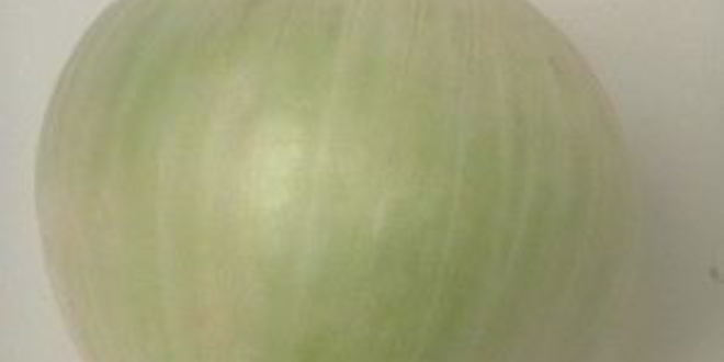 Рецепт языка в желе