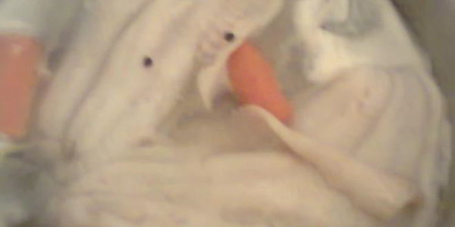 Рецепт заливной рыбы