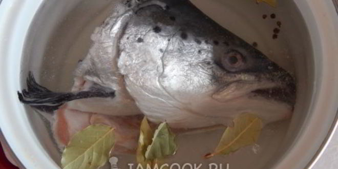 Рецепт заливного из красной рыбы