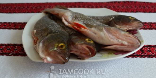 Рецепт заливного из речного окуня