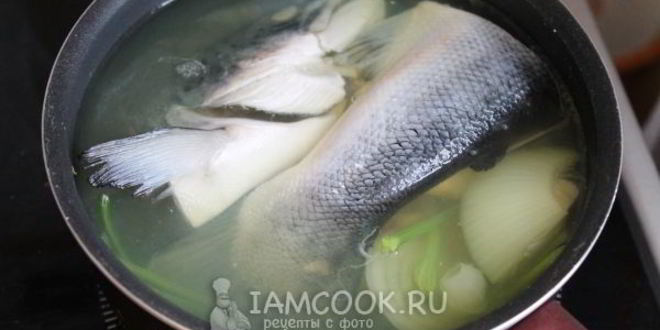 Рецепт заливного из семги
