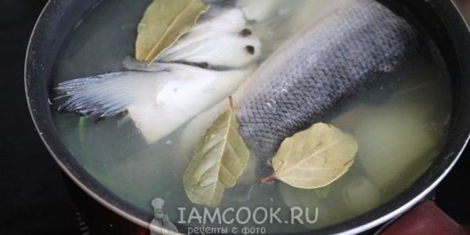Рецепт заливного из семги