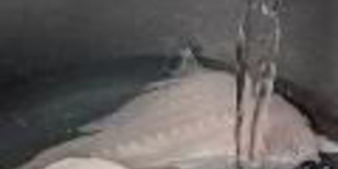 Рецепт заливного из судака