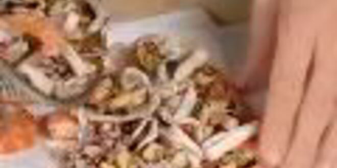 Рецепт заливного морского дна