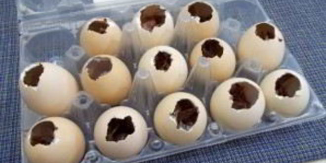 Рецепт заливного в яичной скорлупе