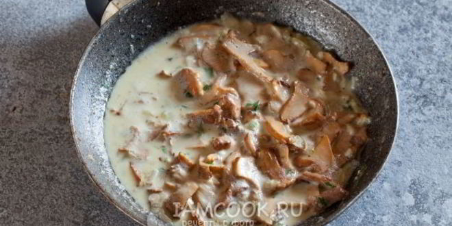 Рецепт жульена из лисичек