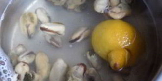 Рецепт жульена из мидий