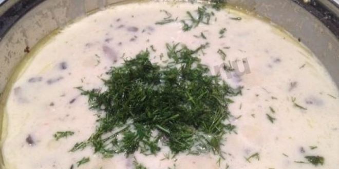 Рецепт жульена с картошкой курицей и грибами