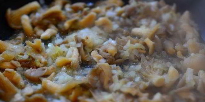 Рецепт жульена с вешенками и баклажанами